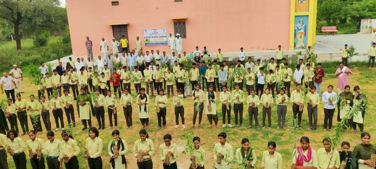 जयपुर संभाग में हुआ 9 लाख 92 हजार से ज्यादा वृक्षारोपण