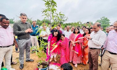 हरियाली तीज पर शिक्षा संकुल में अधिकारी-कर्मचारियों ने किया वृक्षारोपण महिला अधिकारी-कर्मचारियों ने भी अग्रणी रहकर उत्साह पूर्वक किया वृक्षारोपण