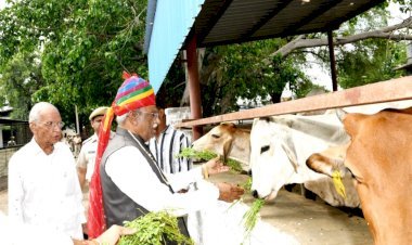 राज्यपाल का जन्माष्टमी पर गौशाला और डेयरी संयंत्र का अवलोकन