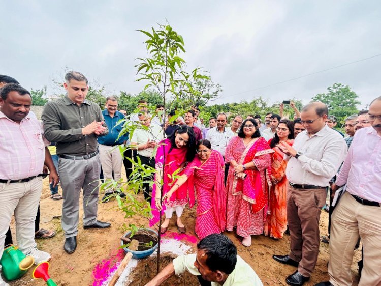 हरियाली तीज पर शिक्षा संकुल में अधिकारी-कर्मचारियों ने किया वृक्षारोपण महिला अधिकारी-कर्मचारियों ने भी अग्रणी रहकर उत्साह पूर्वक किया वृक्षारोपण