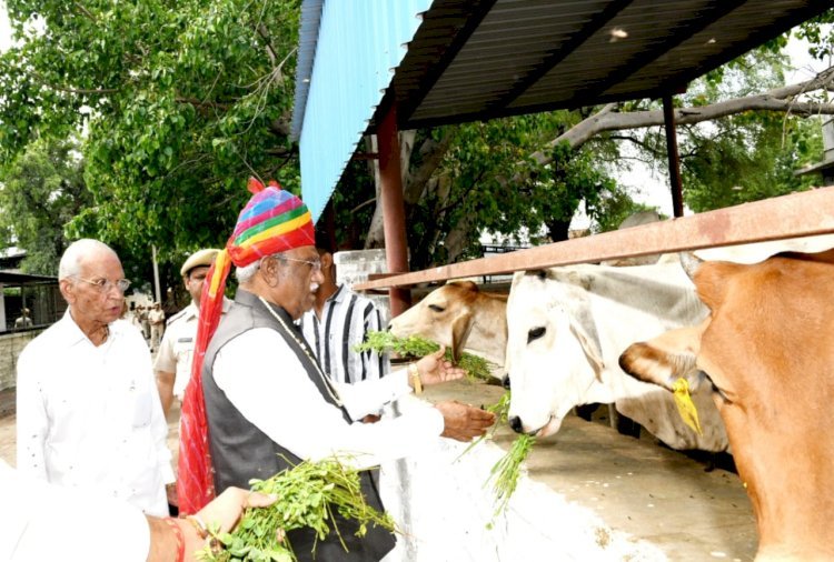 राज्यपाल का जन्माष्टमी पर गौशाला और डेयरी संयंत्र का अवलोकन