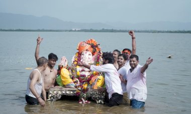 गोयली चौराया व्यापार मंडल की ओर से गणपति विसर्जन