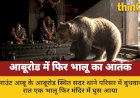 : आबूरोड थाने के मंदिर में तीसरी बार घुसा भालू, खाया प्रसाद
