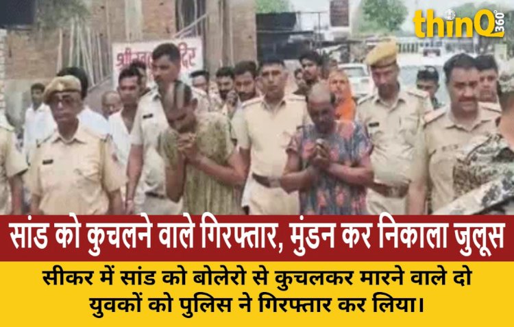 सांड को कुचलकर मारने वाले युवक गिरफ्तार, महिलाओं के कपड़े पहनकर छिपे थे