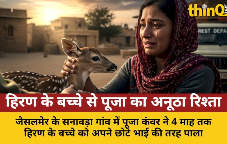 पूजा ने 4 माह पाला हिरण का बच्चा, वन विभाग को सौंपा तो रो पड़ी