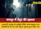 जयपुर: रिहायशी इलाके में तेंदुए की दस्तक, CCTV में कैद