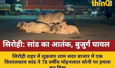 सांड का आतंक, बुजुर्ग घायल सिरोही में सांड का हमला