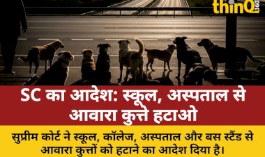 SC का आदेश: स्कूल, अस्पताल से आवारा कुत्ते हटाए जाएं, हाईवे से जानवर भी