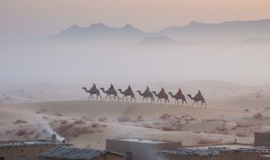 राजस्थान में शीतलहर का कहर: सीकर, फतेहपुर शिमला से भी सर्द