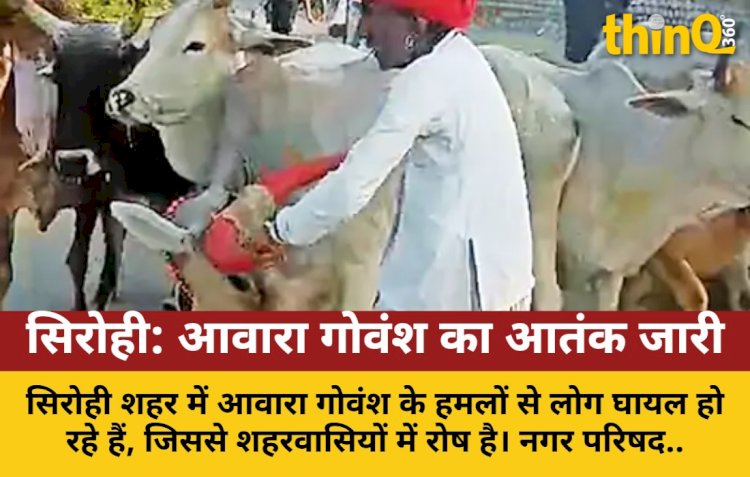 सिरोही: गोवंश पकड़ने पर पशुपालक छुड़ा ले गए, शहर में रोष