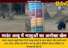 माउंट आबू में टायरों के साथ खेलते दिखे भालू, सोशल मीडिया पर वायरल हुआ वीडियो