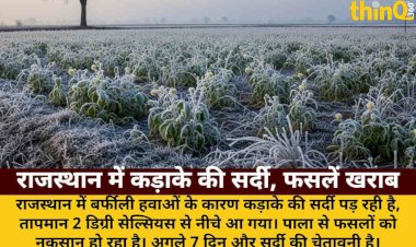 राजस्थान में बर्फीली हवा, पारा 2 डिग्री से नीचे; फसलों पर पाला