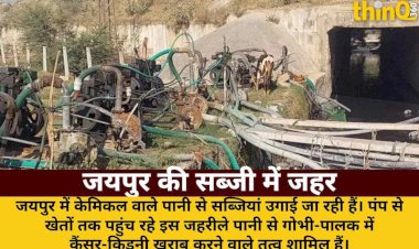 जयपुर की गोभी-पालक में कैंसर-किडनी खराब करने वाले केमिकल: ग्राउंड रिपोर्ट