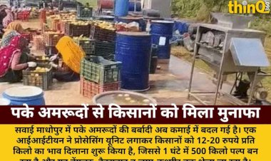 यूरोप के आइडिया से पके अमरूदों के भाव, IITian ने बदली किसानों की किस्मत