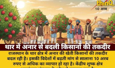 थार के किसानों की तकदीर बदल रही अनार की खेती, 10 अरब का व्यापार