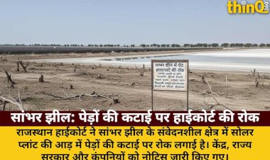 सांभर झील में पेड़ काटने पर हाईकोर्ट की रोक: जंगल उजड़ने का आरोप