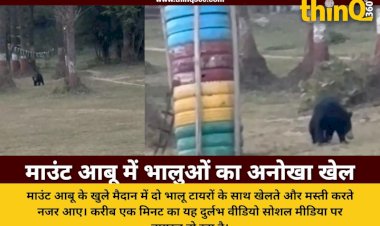 माउंट आबू में टायरों के साथ खेलते दिखे भालू, सोशल मीडिया पर वायरल हुआ वीडियो