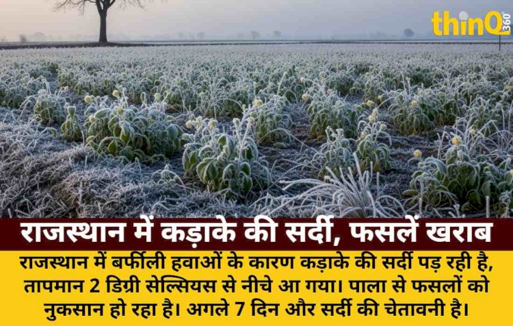राजस्थान में बर्फीली हवा, पारा 2 डिग्री से नीचे; फसलों पर पाला