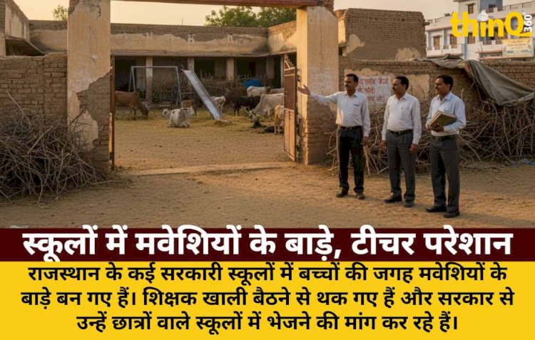 शून्य नामांकन वाले स्कूलों में मवेशियों के बाड़े: टीचर बोले- हमें पढ़ाने भेजो