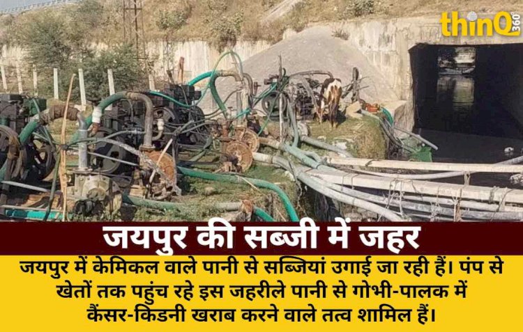 जयपुर की गोभी-पालक में कैंसर-किडनी खराब करने वाले केमिकल: ग्राउंड रिपोर्ट