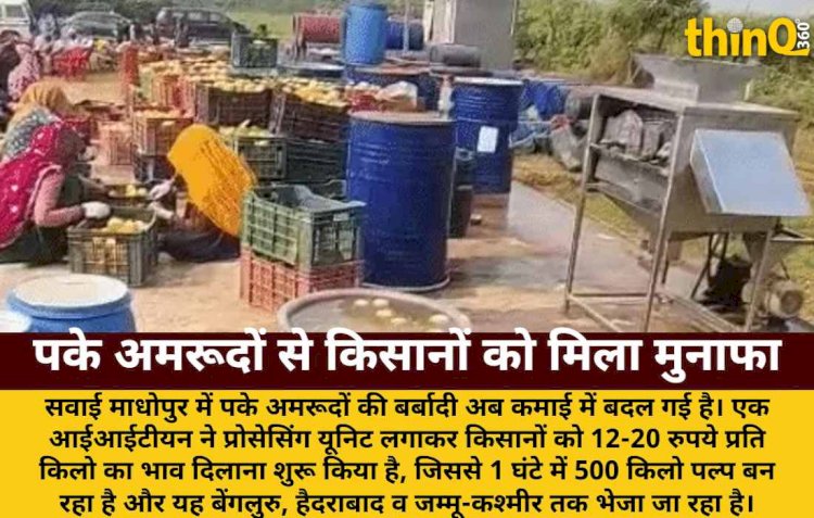 यूरोप के आइडिया से पके अमरूदों के भाव, IITian ने बदली किसानों की किस्मत