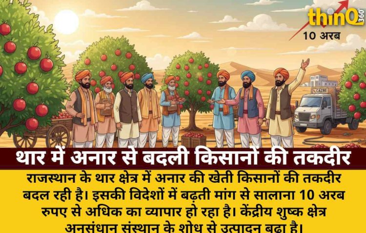 थार के किसानों की तकदीर बदल रही अनार की खेती, 10 अरब का व्यापार