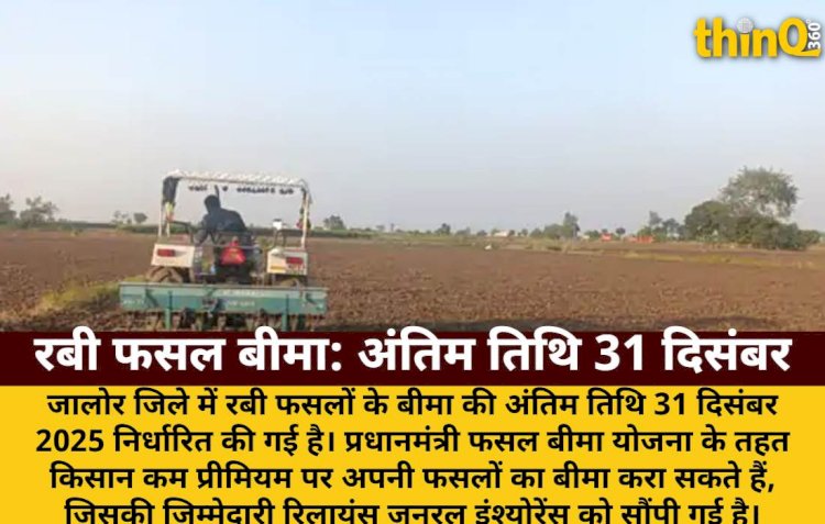 जालोर में रबी फसल बीमा की अंतिम तिथि 31 दिसंबर: कम प्रीमियम पर सुरक्षा