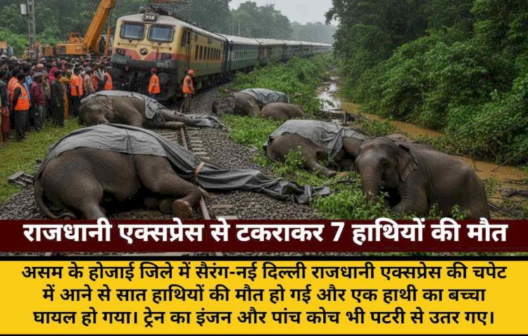 राजधानी एक्सप्रेस से 7 हाथियों की मौत, ट्रेन पटरी से उतरी
