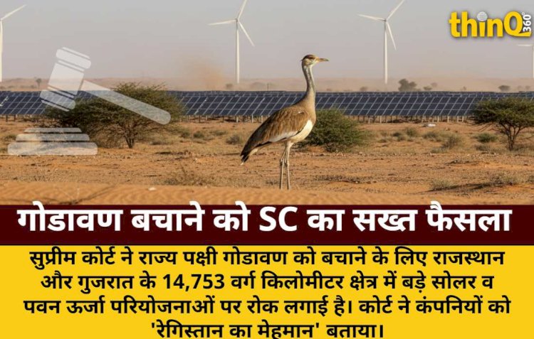 SC का गोडावण पर ऐतिहासिक फैसला: कंपनियां रेगिस्तान की मेहमान