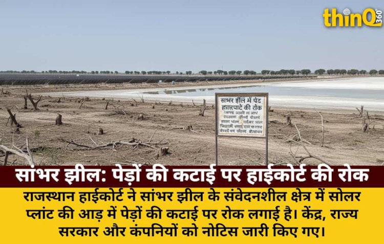 सांभर झील में पेड़ काटने पर हाईकोर्ट की रोक: जंगल उजड़ने का आरोप