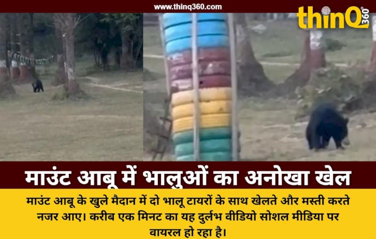 माउंट आबू में टायरों के साथ खेलते दिखे भालू, सोशल मीडिया पर वायरल हुआ वीडियो