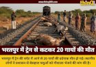 राजस्थान के भरतपुर में दर्दनाक हादसा तेज रफ्तार ट्रेन ने 20 गायों को रौंदा मची चीख पुकार