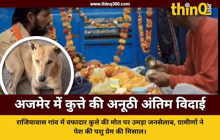 अजमेर में कुत्ते की डीजे के साथ निकली भव्य शवयात्रा, बारहवें पर होगा भोज