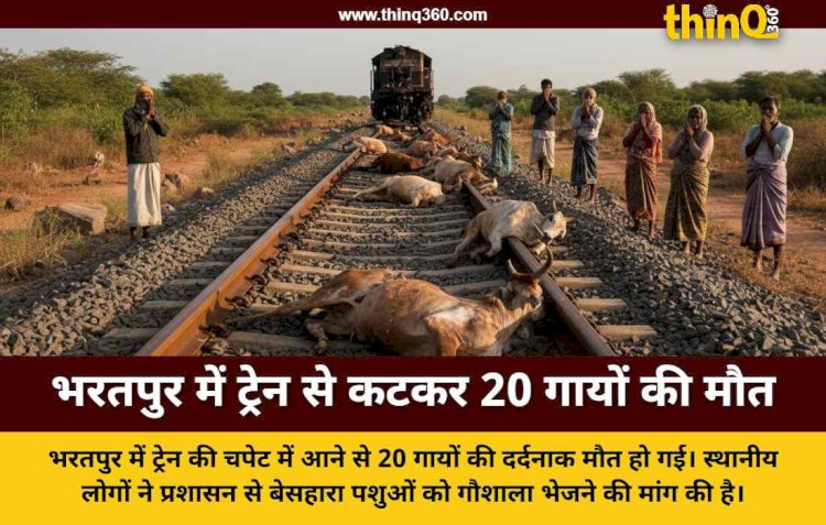 राजस्थान के भरतपुर में दर्दनाक हादसा तेज रफ्तार ट्रेन ने 20 गायों को रौंदा मची चीख पुकार