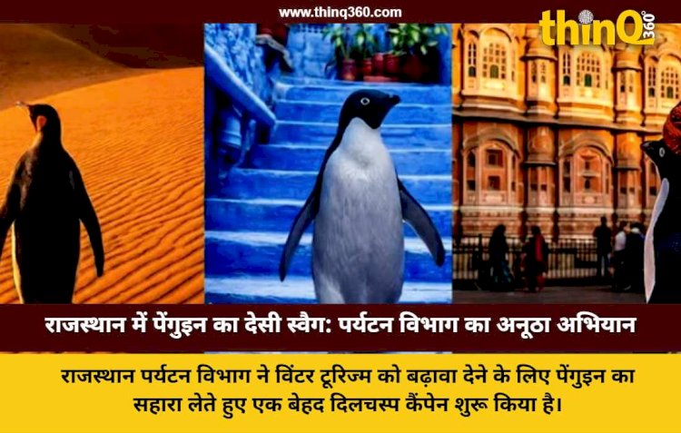 राजस्थान की सर्दी में स्वैग दिखाने पहुंचा पेंगुइन! पगड़ी पहनकर जयपुर घूम रहा यह नन्हा टूरिस्ट