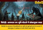 सिरोही में वन भूमि घोटाला: लोकायुक्त ने कलेक्टर से मांगी रिपोर्ट, भू-माफियाओं में हड़कंप