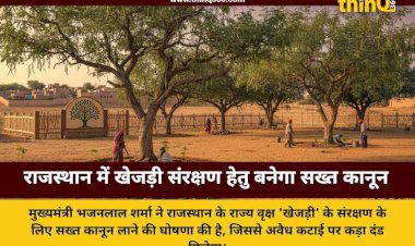 राजस्थान सरकार का ऐतिहासिक निर्णय: खेजड़ी संरक्षण के लिए आएगा विशेष कानून, मुख्यमंत्री भजनलाल शर्मा की विधानसभा में घोषणा